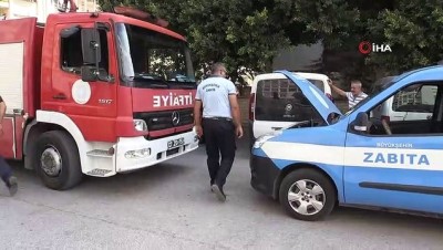 yavru kedi -  Zabıta aracındaki yavru kedi için itfaiye ekipleri seferber oldu  Videosu