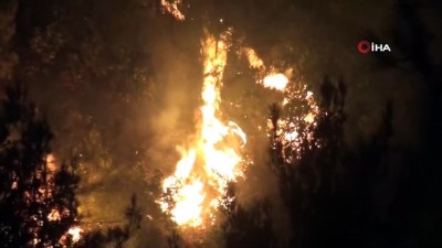 is makinesi -  Hatay’da 25 farklı noktadaki orman yangınlarından 24'ü söndürüldü  Videosu