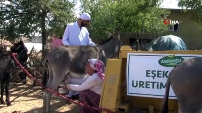 keci sutu -  Mardin’in ödüllü eşek sütü sabunu 27 ülkeye ihraç ediliyor  Videosu