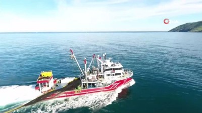 balik avi -  Balık tezgahlarında mezgit bolluğu Videosu