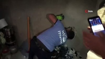 naat -  Van'da kedi kurtarma operasyonu  Videosu