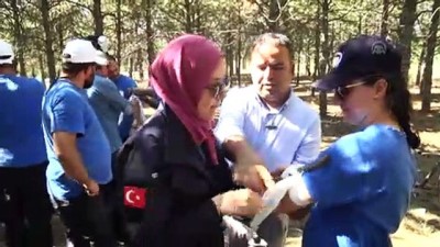 savas muhabiri - 16. Dönem Savaş Muhabirliği Eğitimi devam ediyor (1) - ANKARA Videosu