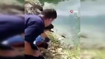 insaat cukuru -  Su dolu inşaat çukuruna düşen köpek kurtarıldı Videosu