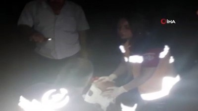 sulama kanali - Sürücüsünün kalp krizi geçirdiği otomobil sulama kanalına düştü: 1 ölü, 3 yaralı Videosu