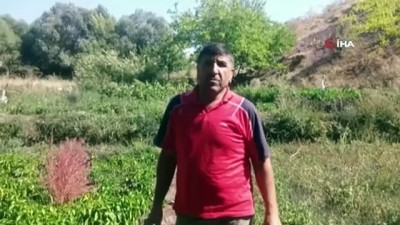  Bahçe sulamaya çıkan Kıbrıs Gazisi 3 gündür kayıp 