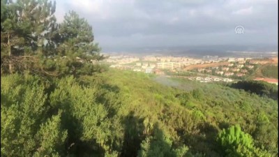 amator kamera - Pendik'deki orman yangınına ilişkin gözaltı - Şüpheli şahıs ormanı yakarken görüntülendi - İSTANBUL  Videosu