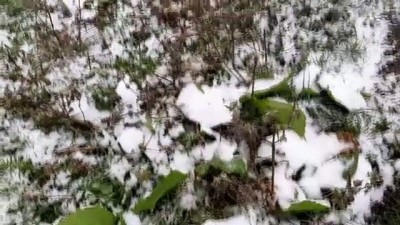 Ardahan'a mevsimin ilk karı yağdı