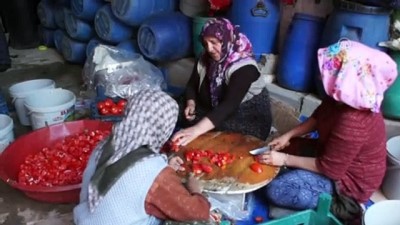 Çubuk turşusu Geyve’ye örnek olacak - ANKARA 