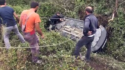 kopek - Otomobil devrildi: 5 yaralı - DÜZCE  Videosu