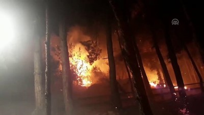 yukselen - Adana'daki orman yangını  Videosu