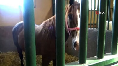 acik arttirma -  Devlete servet kazandıran babalar ve oğulları  Videosu