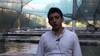 kavakli - 'Dünya kayısı başkenti' alabalık üretiminde de iddialı - MALATYA  Videosu