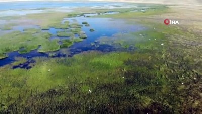 yaz mevsimi -  Dünyanın en eski göletlerinden Turna'da köylüler hayvan otlatmaya başladı  Videosu