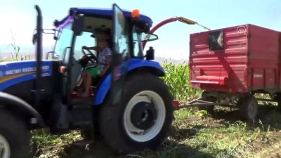 buyukbas hayvanlar - Silajlık mısır hasadı başladı - MUŞ  Videosu