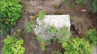 kozalak -  Tarihi kilisenin çatısında büyüyen ağaçlar görenlerin dikkatini çekiyor  Videosu
