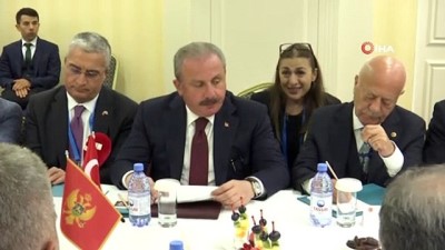  - TBMM Başkanı Şentop, Karadağ Meclis Başkanı Brajovic ile görüştü 