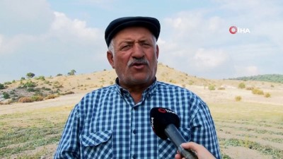 festival -  Kazan Kavununda bu yıl verim düştü  Videosu