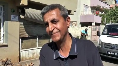 efes -  Mahalleliyi arılardan belediye ekipleri kurtardı Videosu