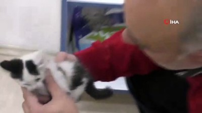  Havalandırma boşluğuna düşen yavru kediyi itfaiye kurtardı 