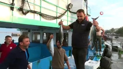  Bandırma Körfezi’nde balık bereketi...Hamsinin kilosu 15 liraya geriledi 