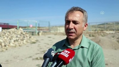 arkeoloji - Harput Kalesi'nde 2019 kazı sezonu bitti - ELAZIĞ  Videosu