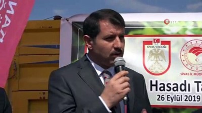 salda -  Sivas’ta patates hasadı başladı  Videosu