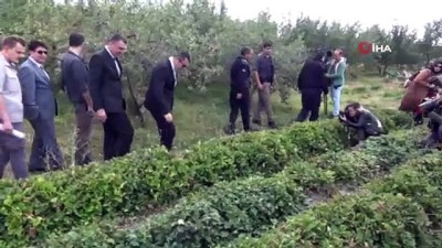 rganik meyve -  Hükümlüler bu cezaevinde meslek öğreniyor  Videosu