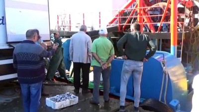 Karadeniz'de hamsi bolluğu balıkçıları sevindirdi - DÜZCE 