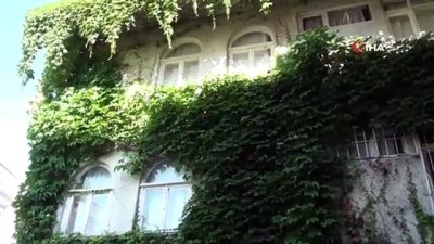 gurbetci -  4 katlı bina sarmaşıkla kaplanınca ilgi odağı oldu  Videosu