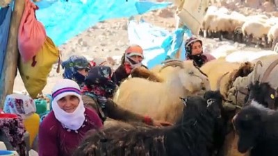 hayvancilik - Besicilerin zorlu yolculuğu (2) - VAN/BİTLİS  Videosu