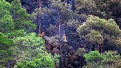 Muğla'da orman yangını (5)