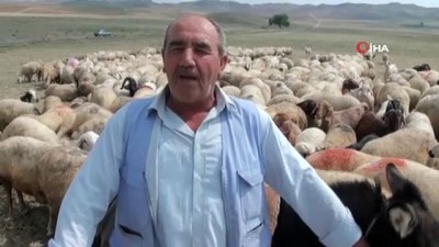 hayvancilik -  4 bin lira maaşla çalıştıracak çoban bulamıyorlar  Videosu