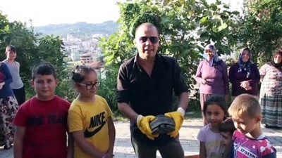 Çocukların bulduğu kara kaplumbağasını sahiplendi - ORDU