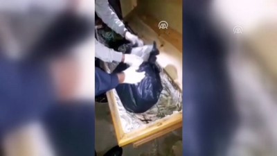 Uyuşturucuyu tabuta gizlemişler - SAKARYA 