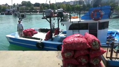 bismillah - Balıkçılar rotayı salyangoza çevirdi - DÜZCE Videosu