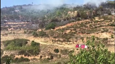 Bursa'da makilik alanda yangın