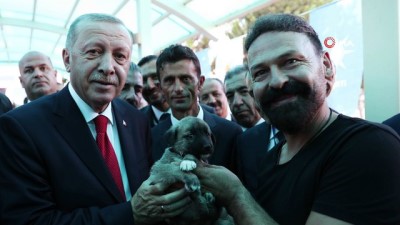  Cumhurbaşkanı Erdoğan'a Kangal yavrusu hediye edildi