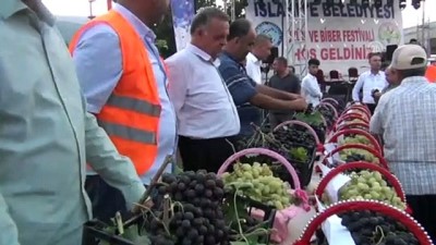 İslahiye Üzüm ve Biber Festivali başladı - GAZİANTEP