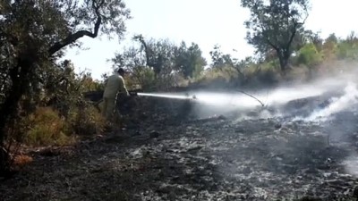 makilik alan - Kemalpaşa'da orman yangını - İZMİR Videosu
