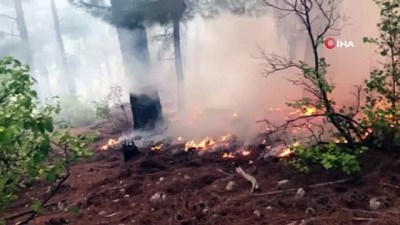  Adana’da orman yangını