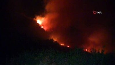  Samandağ'da orman yangını
