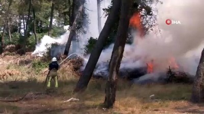 ormanli -  Arnavutköy’de ormanlık alanlık alanda yangın  Videosu