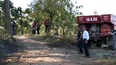 ormanli -  Bursa'da orman yangını 20 dönüm alanı kül etti Videosu