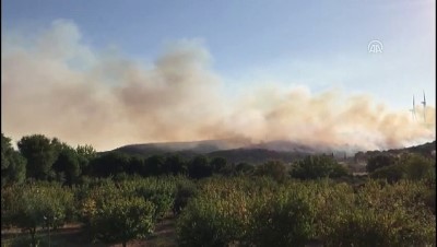 İzmir'de makilik alanda yangın