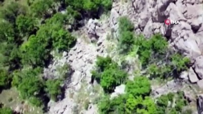  Hakkari’de PKK’ya yönelik operasyon; 14 gözaltı 