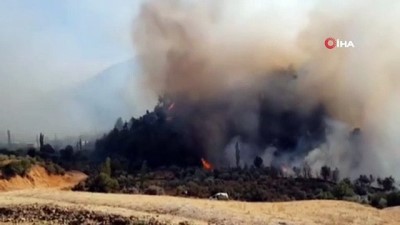 itfaiye eri -  Hatay'da çıkan orman yangını kontrol altına alındı Videosu