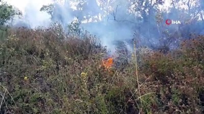 ormanli -  Uludağ'ın eteklerinde orman yangını Videosu