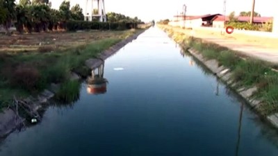 sulama kanali -  3 yaşındaki çocuk sulama kanalında boğuldu  Videosu