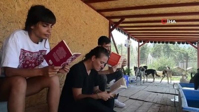  Barınakta hayvanlara kitap okudular 
