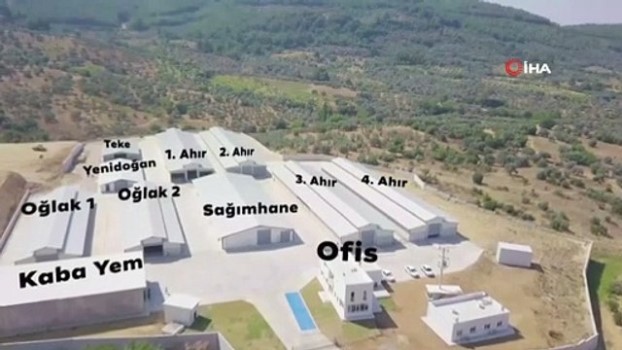Turkiye Nin En Saglikli Keci Ciftligi Izmir De Kuruldu